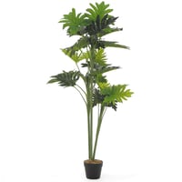 نبتة "مونتيرا الاستوائية" – 120 سم