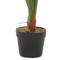 نبتة أڤيرا – لمسة خضراء بواقعية فائقة بارتفاع 100...