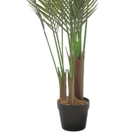 نخلة مارابيلا – فخامة التفاصيل الخضراء