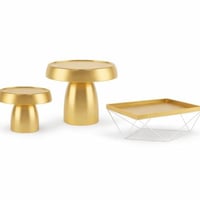 استاندت تقديم فاخره