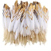 ريش بطرف ذهبي