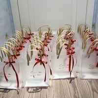 اكياس فاخره طوليه وعرضيه