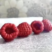 قوالب سيلكون قطع التوت بحشو جمله