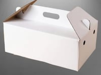 كرتون شحن بيد ابيض