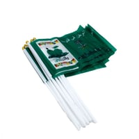 علم اليوم الوطني