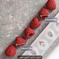 قوالب سيلكون قطع التوت بحشو جمله