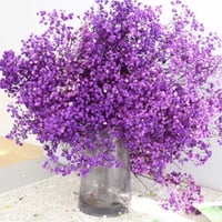 باقه ورد جيبسوفيلا كبيره جداً