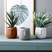 احواض زهور وشموع