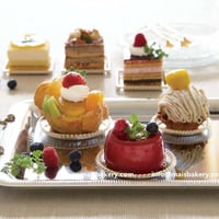 قواعد ذهبيه متنوعه