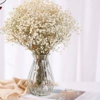 باقه ورد جيبسوفيلا كبيره جداً