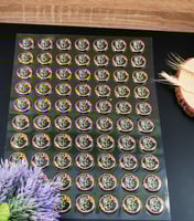 ورق الترانسفير نورتونا لونين