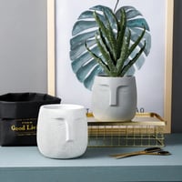 احواض زهور وشموع