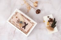 بوكسات سحاب شفاف