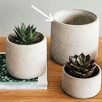 احواض زهور وشموع