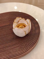 مبخره توزيعات