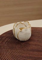 مبخره توزيعات