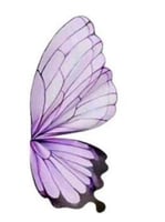 تغاليف ورد فراشه ملون