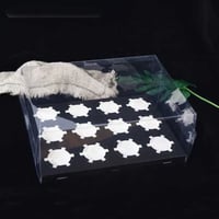 بوكس كب كيك شفافه