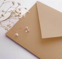 اظرف ورق متعدده الالوان