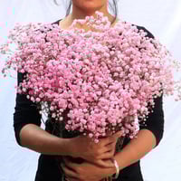 باقه ورد جيبسوفيلا كبيره جداً