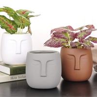 احواض زهور وشموع