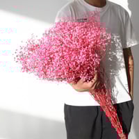 باقه ورد جيبسوفيلا كبيره جداً