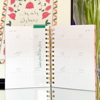 تقويم ناقة ٢٠٢٥