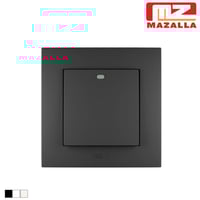 مفتاح مفرد MZ