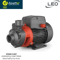 مضخة مياه ليو APM60 0.8HP