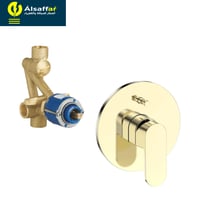 لوحة خلاط دش 2 خط مخفي ذهبي BRONZO