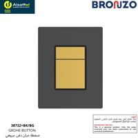 ضغطة سيفون جروهي أسود-برشد جولد مربع