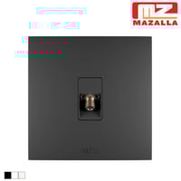 فيش دش مفرد MZ