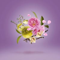 عطر زيرجوف كاساموراتي لا توسكا أو دو بارفيوم 30مل...