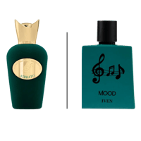 عطر ايفن مود أو دو بارفيوم 100مل (للجنسين)