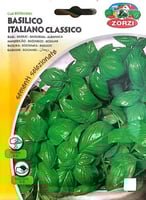بذور الريحان الإيطالي Italian Basil Seeds