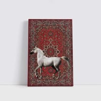 خيل السجاد الأحمر