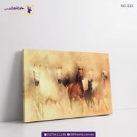 خيول الصحراء