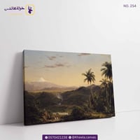 منظر طبيعي للنخيل