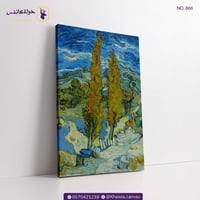 صف من أشجار الحور