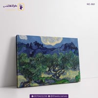 أشجار الزيتون