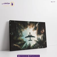 طائرة وسط النخيل