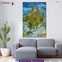 صف من أشجار الحور