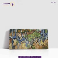 جذور الشجرة