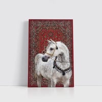 وقار السلالة