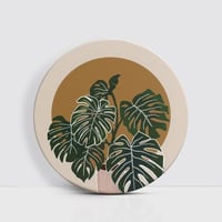 أوراق المونستيرا - دائرية