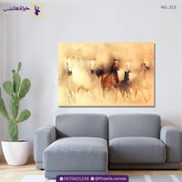 خيول الصحراء