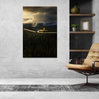 طائرة في عتمة الغابة