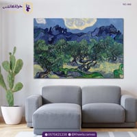 أشجار الزيتون