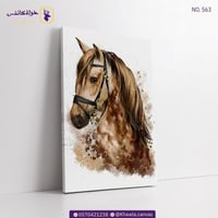 خيل بني