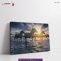 جولة صباحية